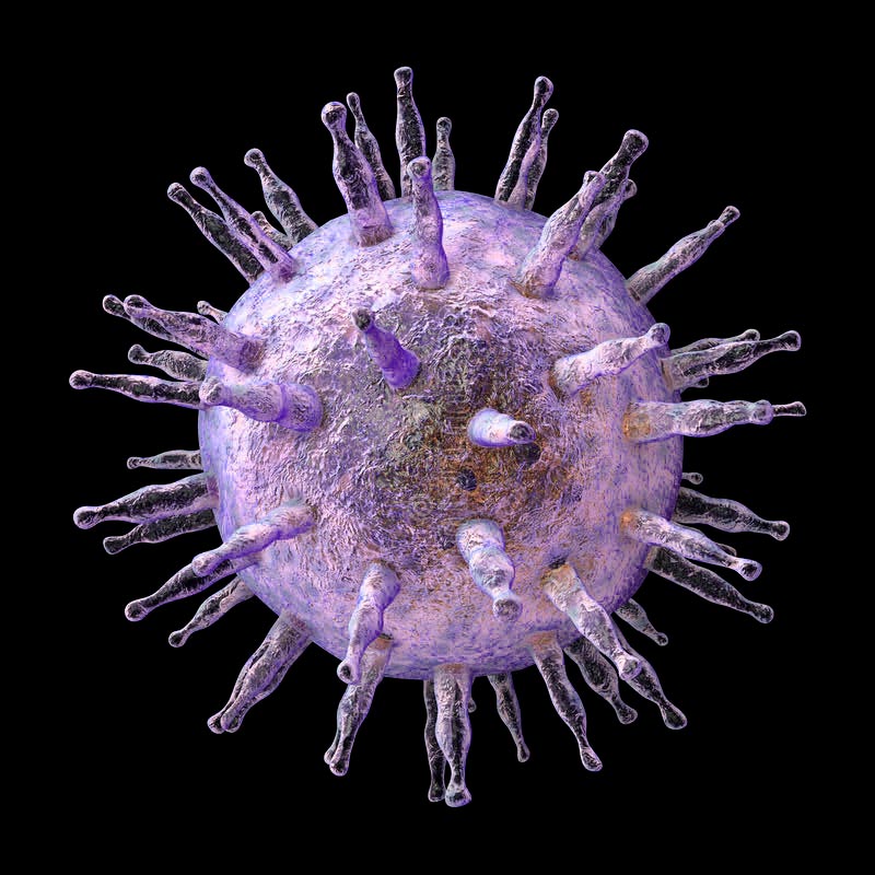 What do you know about the Epstein-Barr virus?